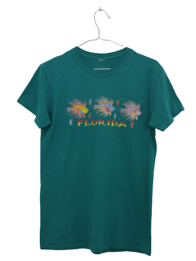 FLORIDA πετρόλ tshirt - S