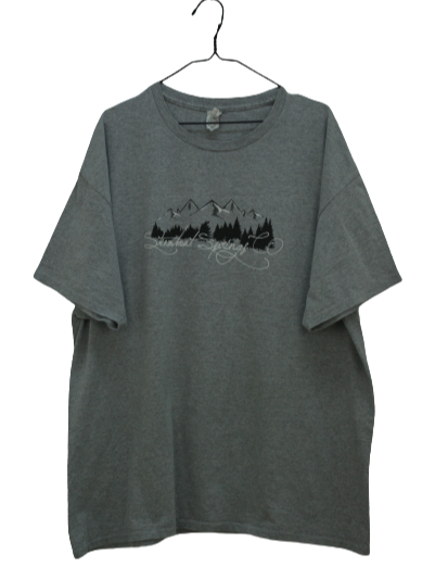 Γκρι tshirt με αποτύπωμα 