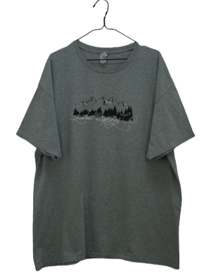 Γκρι tshirt με αποτύπωμα 